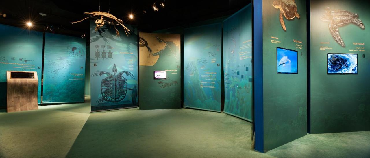 Ras Al Jinz Turtle Reserve Al Hadd Eksteriør bilde