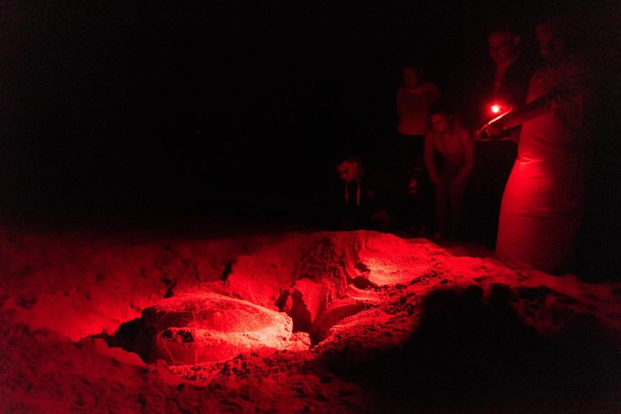 Ras Al Jinz Turtle Reserve Al Hadd Eksteriør bilde