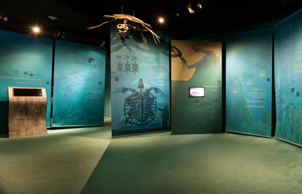 Ras Al Jinz Turtle Reserve Al Hadd Eksteriør bilde